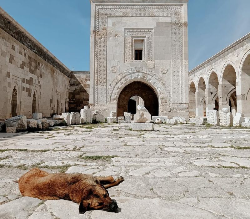 Caravanserai: Từ ‘trạm dừng chân huyền thoại’ đến trải nghiệm ngủ đêm sa mạc 8