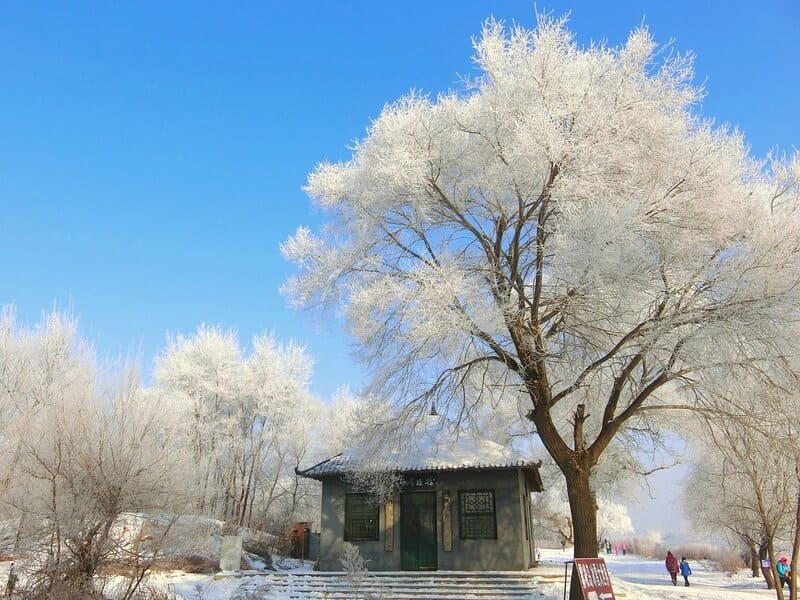 Cát Lâm Trung Quốc, chốn thiên đường rạng rỡ mùa đông 8