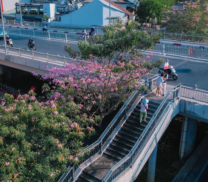 Cầu Calmette: Điểm đến lạ mà quen cho chuyến khám phá Sài Gòn 4