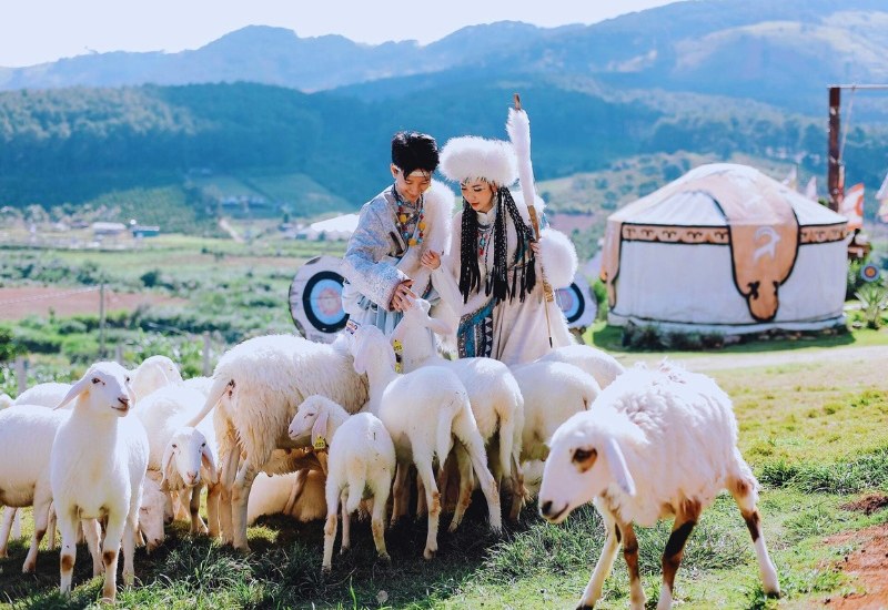 Mongo Land Dalat: Review A - Z giá vé và hoạt động vui chơi 4