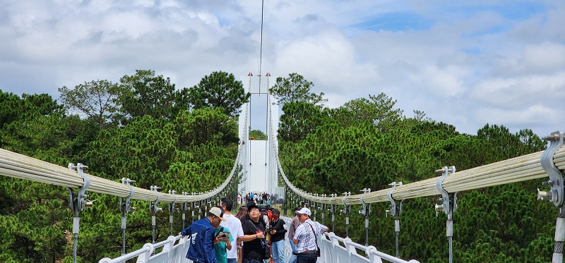 Cầu đáy kính Đà Lạt, góc mới chiêm ngưỡng thung lũng từ trên cao 7