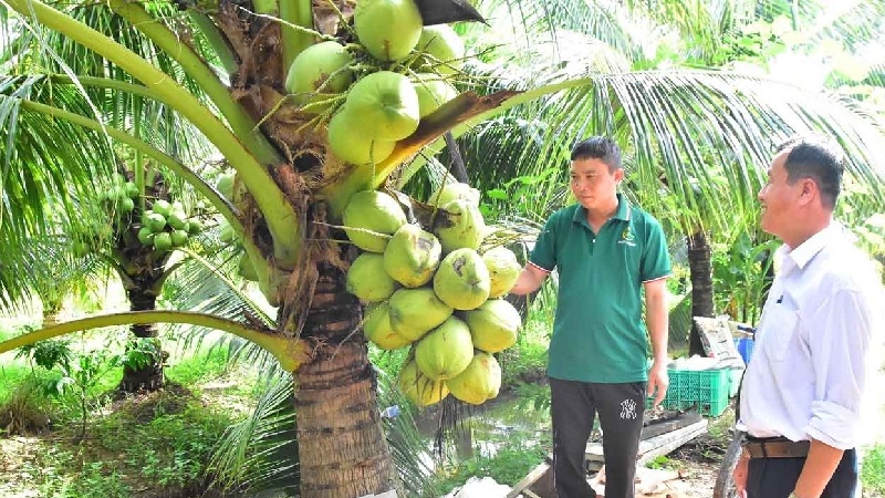 Du lịch Cầu Kè Trà Vinh: 3