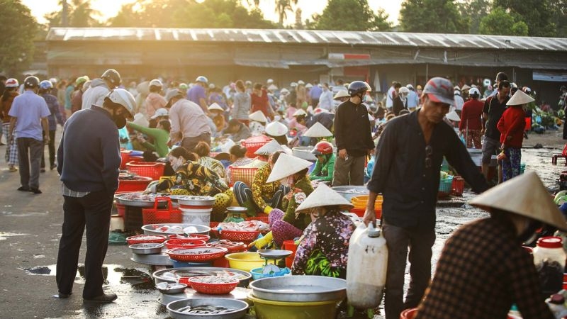 Du lịch Cầu Kè Trà Vinh: 6