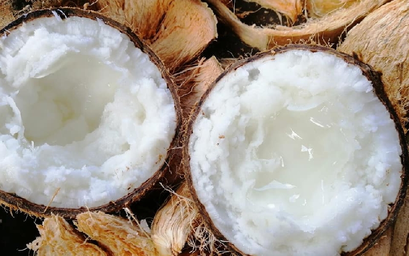 Du lịch Cầu Kè Trà Vinh: 9