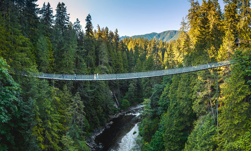 Cầu treo Capilano, kỳ quan ẩn mình giữa rừng cây Bắc Vancouver 2