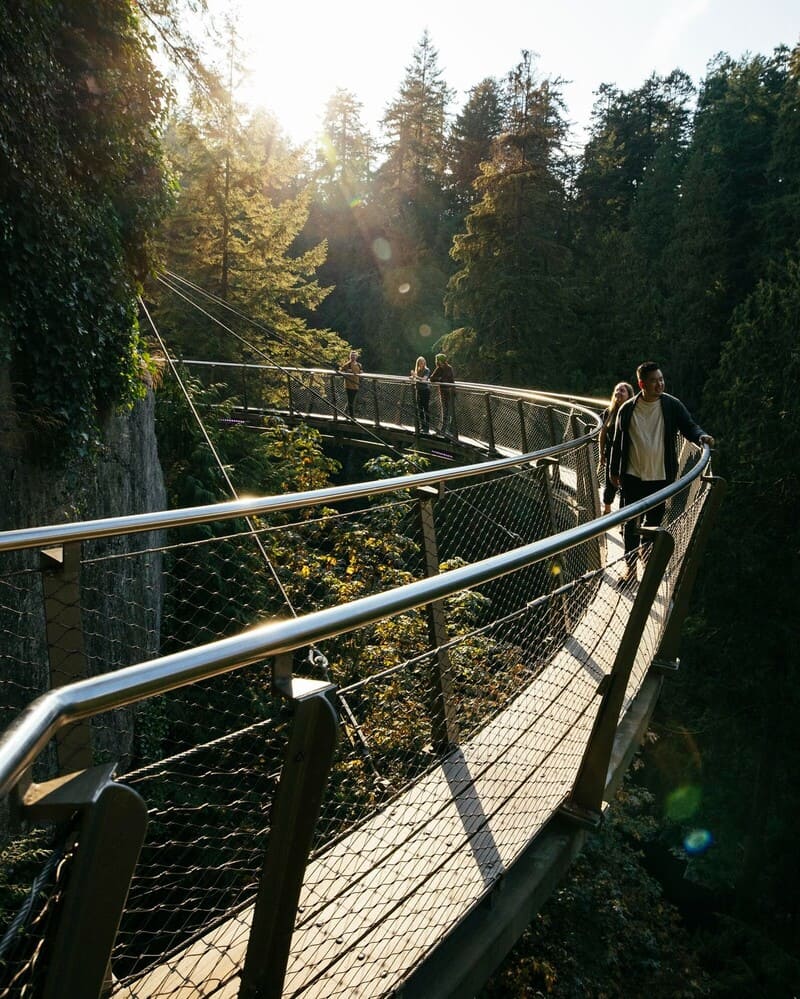Cầu treo Capilano, kỳ quan ẩn mình giữa rừng cây Bắc Vancouver 7