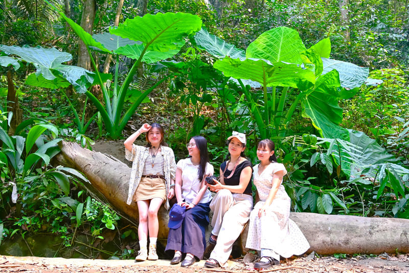 Chiêm ngưỡng cây ráy khổng lồ tại Vườn quốc gia Cúc Phương 6