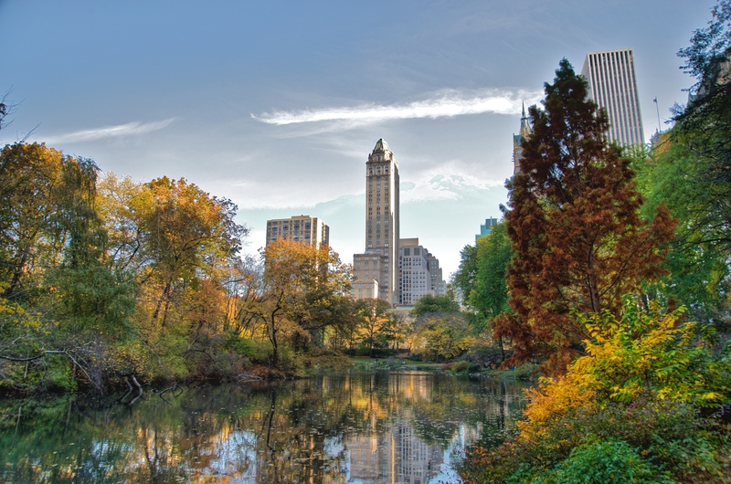 Central Park New York: Lá phổi xanh giữa Manhattan không ngủ 5