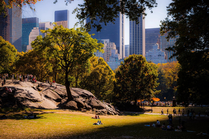 Central Park New York: Lá phổi xanh giữa Manhattan không ngủ 4