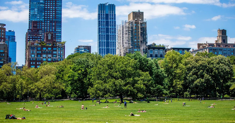 Central Park New York: Lá phổi xanh giữa Manhattan không ngủ 8