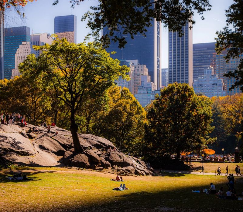Central Park New York: Lá phổi xanh giữa Manhattan không ngủ