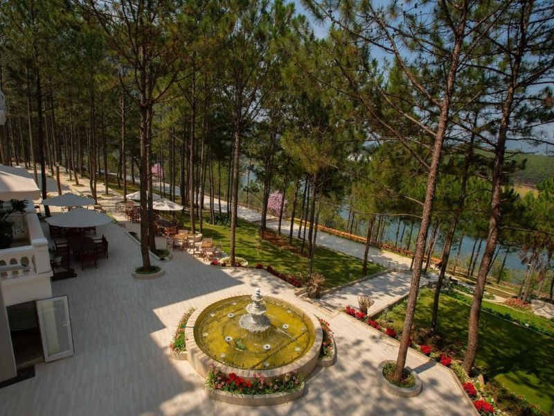 Cereja Hotel & Resort Dalat: Không gian nghỉ dưỡng giữa rừng thông 4
