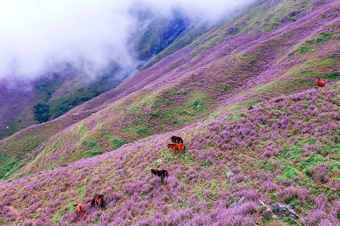 Chẳng còn lo trekking khó khăn nhờ Hướng dẫn leo Tà Chì Nhù chi tiết 2