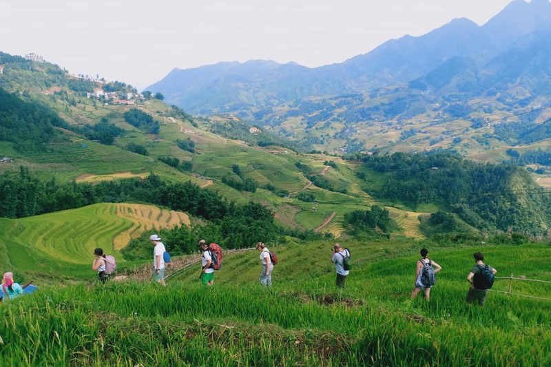 Khu nghỉ dưỡng Chapa Ecolodge Sapa với view ruộng bậc thang tuyệt đẹp 10