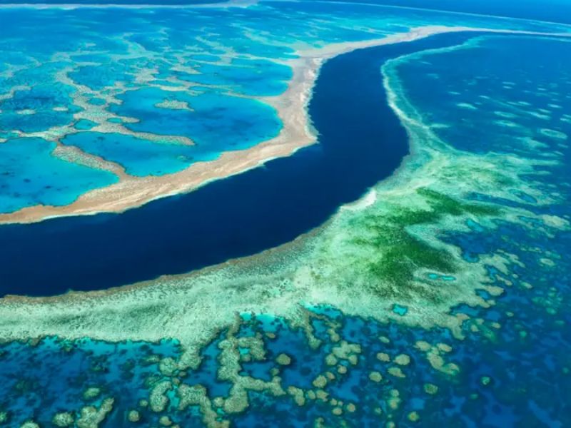 Châu lục nhỏ nhất thế giới là gì? Thông tin diện tích, quốc gia và đặc điểm 5