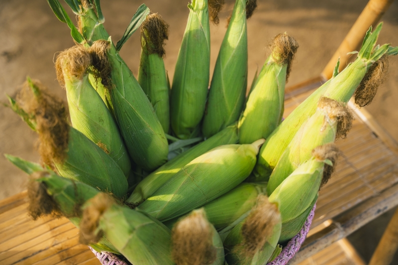 Đặc sản Chè bắp Hội An dân dã chạm đến trái tim người lữ khách 3