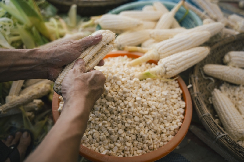 Đặc sản Chè bắp Hội An dân dã chạm đến trái tim người lữ khách 4