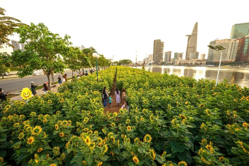 Check-in vườn hoa xuân ga Ba Son rực rỡ đầu năm tại TP.HCM 9