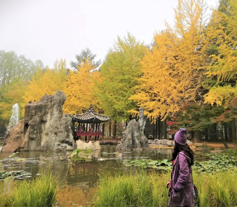 Du lịch Hàn Quốc tháng 5: Cẩm nang kinh nghiệm và trải nghiệm chi tiết 6