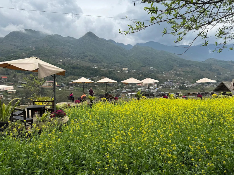 Review Chi Pâu Coffee & Homestay giữa những cánh đồng lúa Sapa 2