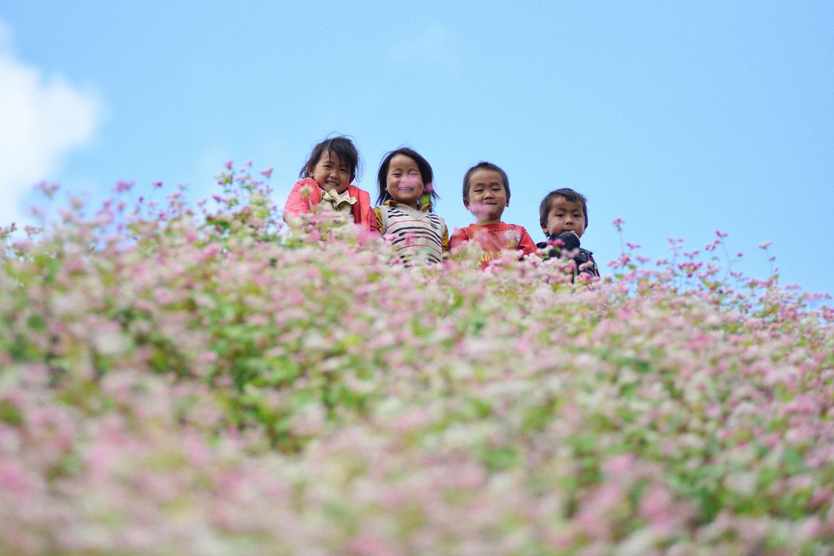 Chia sẻ kinh nghiệm đi du lịch Yên Minh - Hà Giang tự túc 7