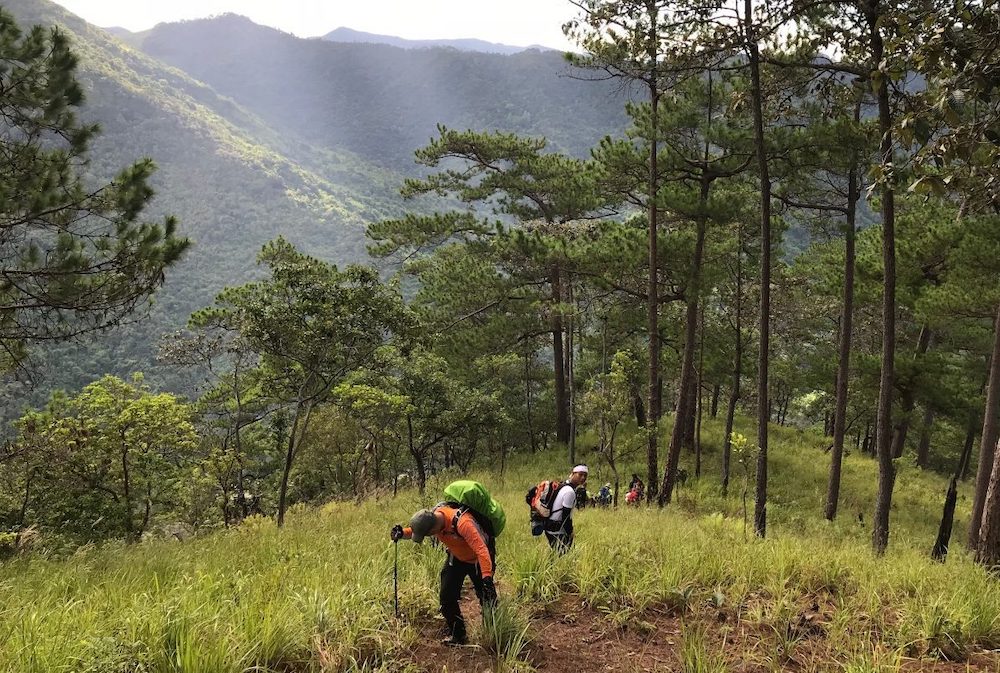 Chia sẻ kinh nghiệm trekking Núi Chúa cho hội mê xê dịch 3