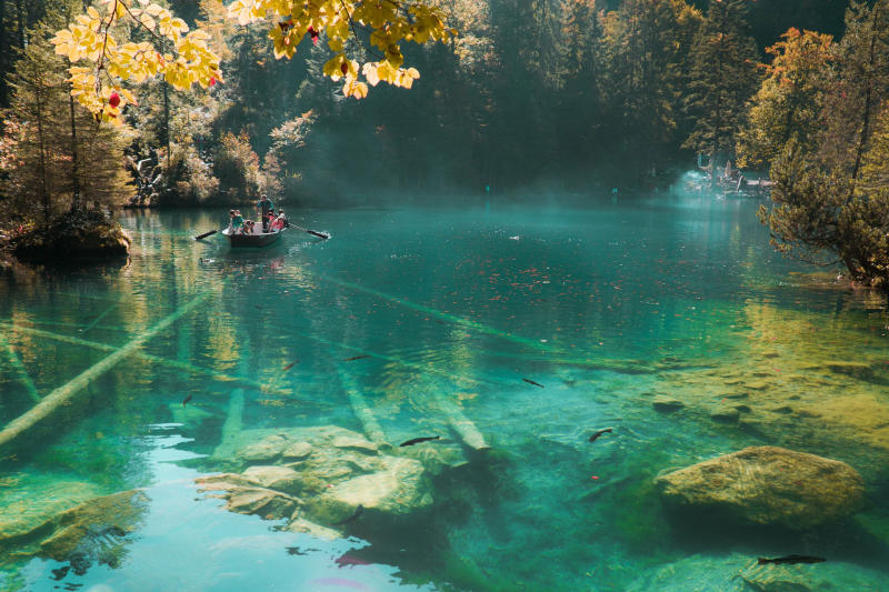 Chiêm ngưỡng vẻ đẹp tuyệt sắc của hồ Blausee Thụy Sĩ 3