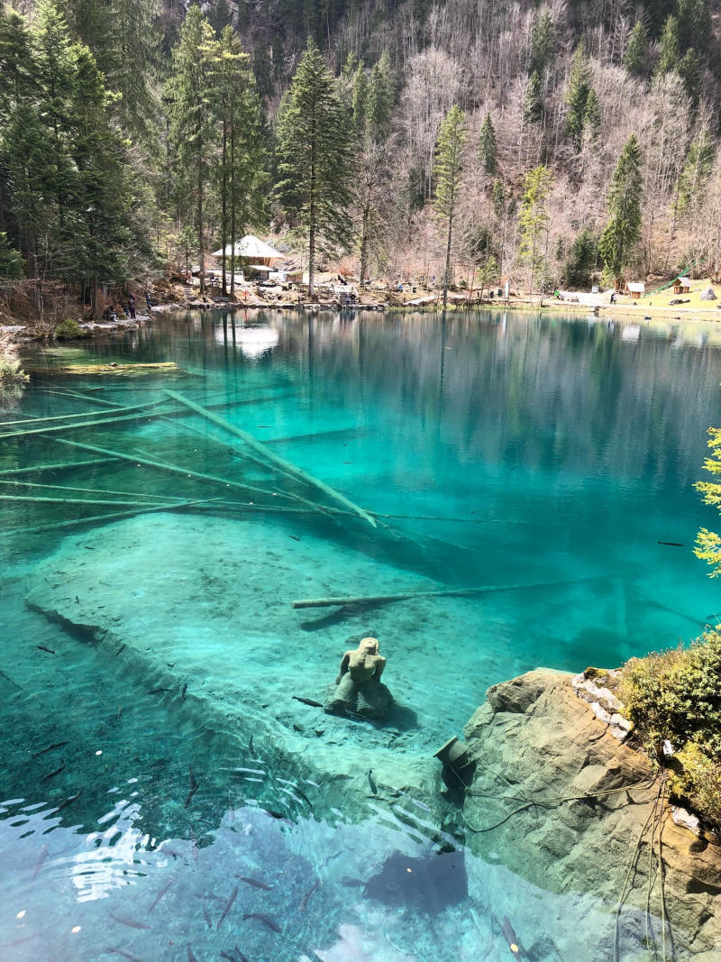 Chiêm ngưỡng vẻ đẹp tuyệt sắc của hồ Blausee Thụy Sĩ 6