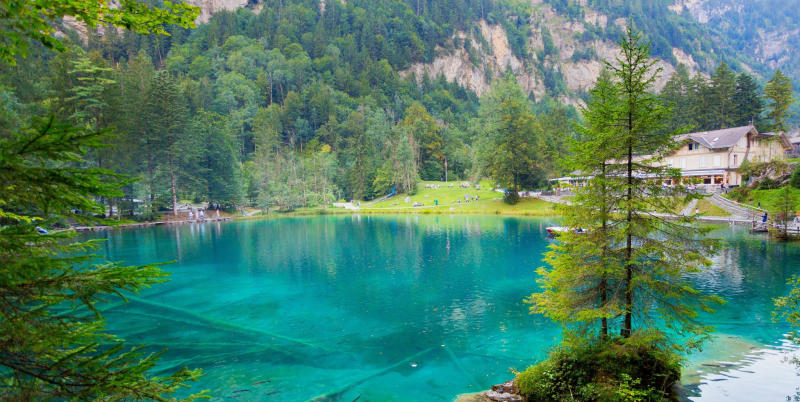 Chiêm ngưỡng vẻ đẹp tuyệt sắc của hồ Blausee Thụy Sĩ 5