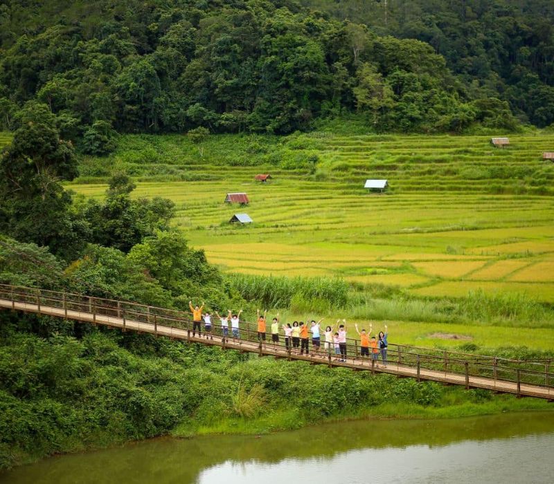 Chiêm ngưỡng Măng Đen mùa lúa chín bừng sáng sắc vàng óng ả