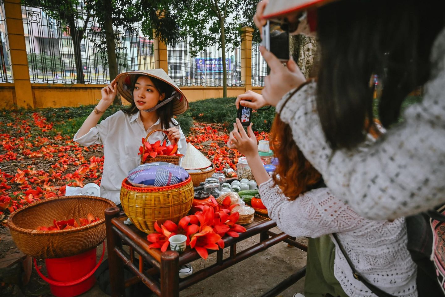 Chiêm ngưỡng vẻ đẹp lâu đời của cây hoa gạo cổ thụ ở Hà Nội 8