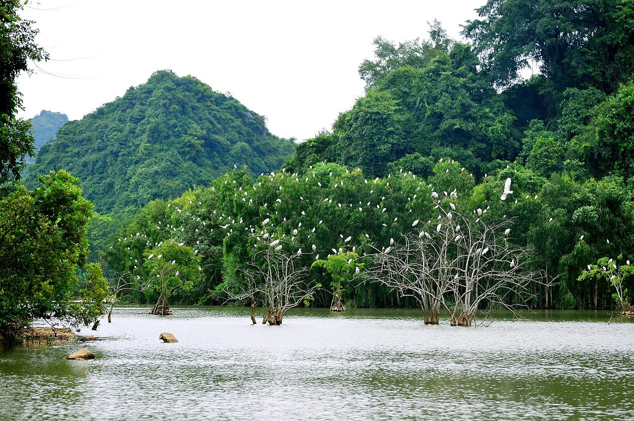 Chiêm ngưỡng vẻ đẹp nguyên sơ tại khu du lịch sinh thái Thung Nham - Ninh Bình 5