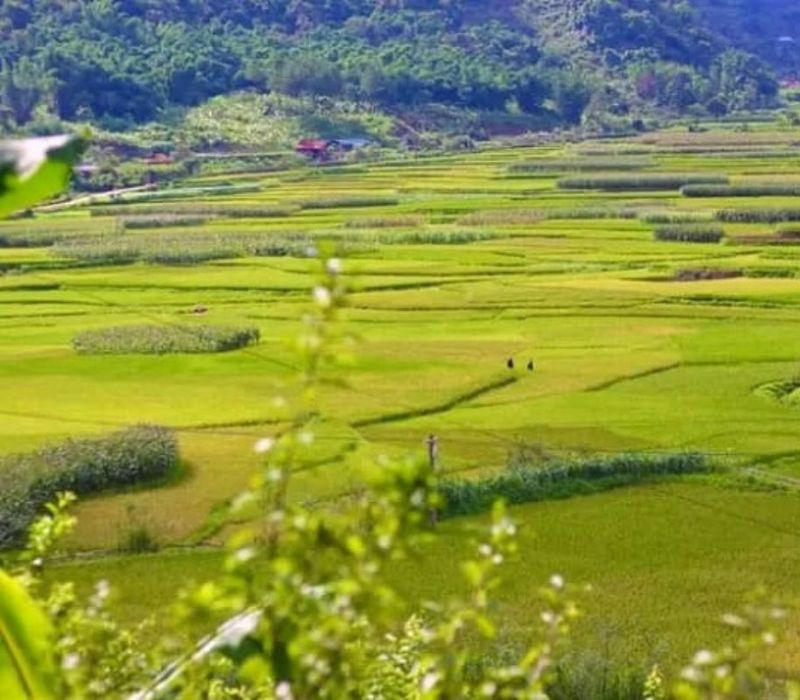 Chiềng Cọ (Sơn La): Kinh nghiệm trải nghiệm bức tranh sơn thủy hữu tình vùng Tây Bắc 2
