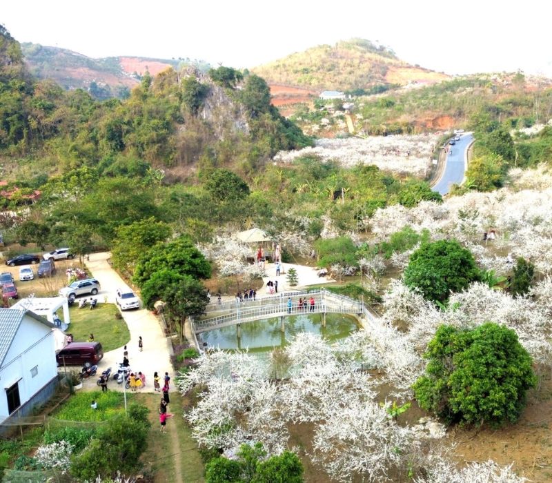 Chiềng Cọ (Sơn La): Kinh nghiệm trải nghiệm bức tranh sơn thủy hữu tình vùng Tây Bắc 3