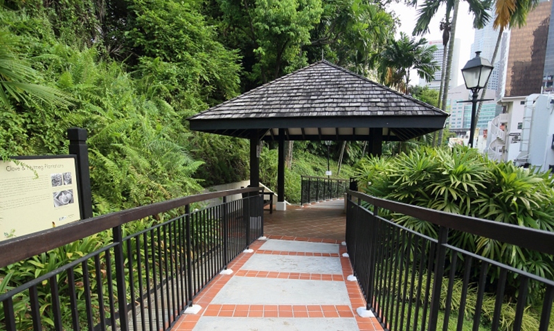 Chinatown Singapore có gì? Top trải nghiệm nhất định phải thử 8