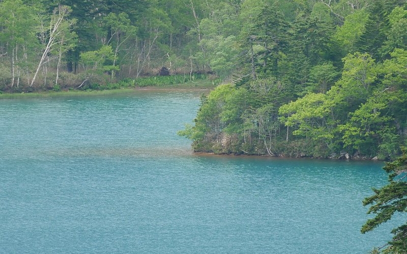 Chitose có gì? Các điểm đến nổi bật và trải nghiệm thú vị 6