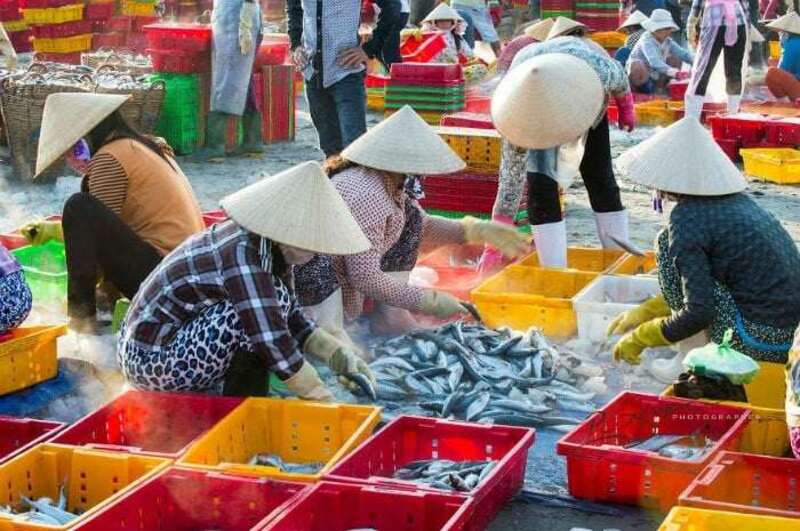 Trọn bộ kinh nghiệm du lịch đảo Phú Quý 2025: Đi đâu, ăn gì, chơi gì? 25