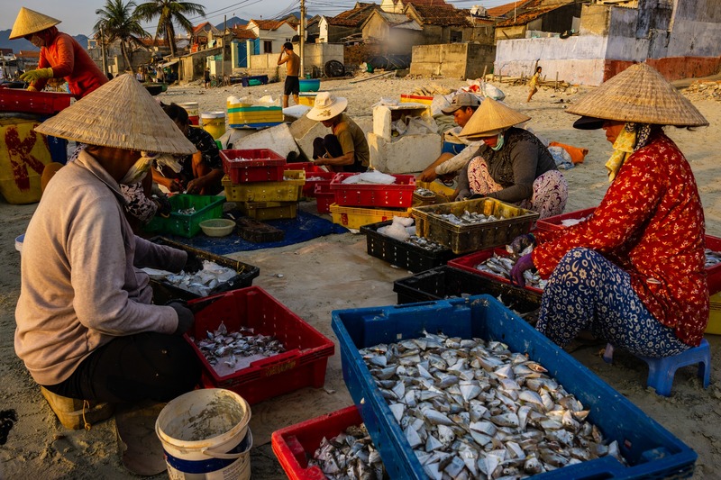 Chợ cá Ninh Thủy như một nốt trầm gây xao xuyến bên biển cả 4