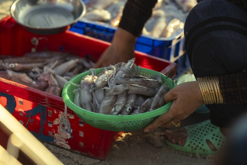 Chợ cá Ninh Thủy như một nốt trầm gây xao xuyến bên biển cả 5