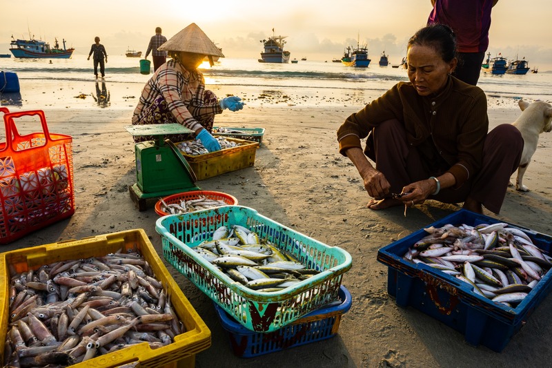 Chợ cá Ninh Thủy như một nốt trầm gây xao xuyến bên biển cả 8