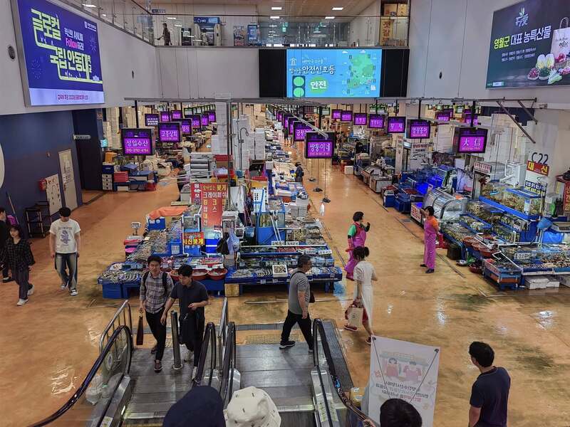 Phá đảo chợ cá Noryangjin, thiên đường hải sản tươi sống giữa lòng Seoul 4