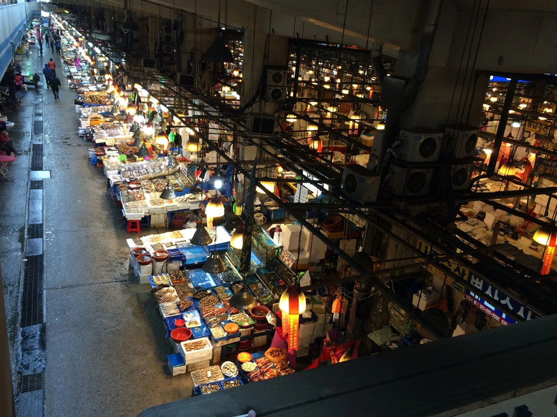 Phá đảo chợ cá Noryangjin, thiên đường hải sản tươi sống giữa lòng Seoul 6