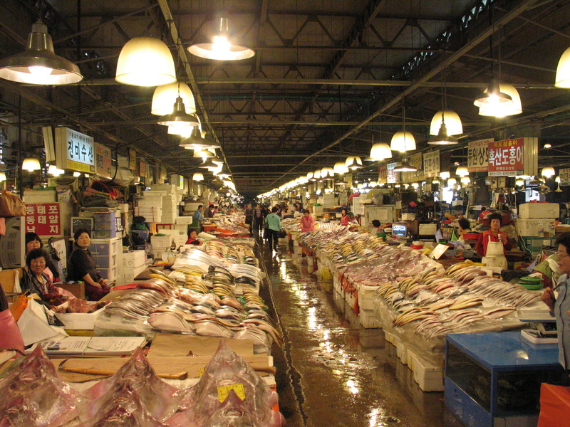 Phá đảo chợ cá Noryangjin, thiên đường hải sản tươi sống giữa lòng Seoul 3