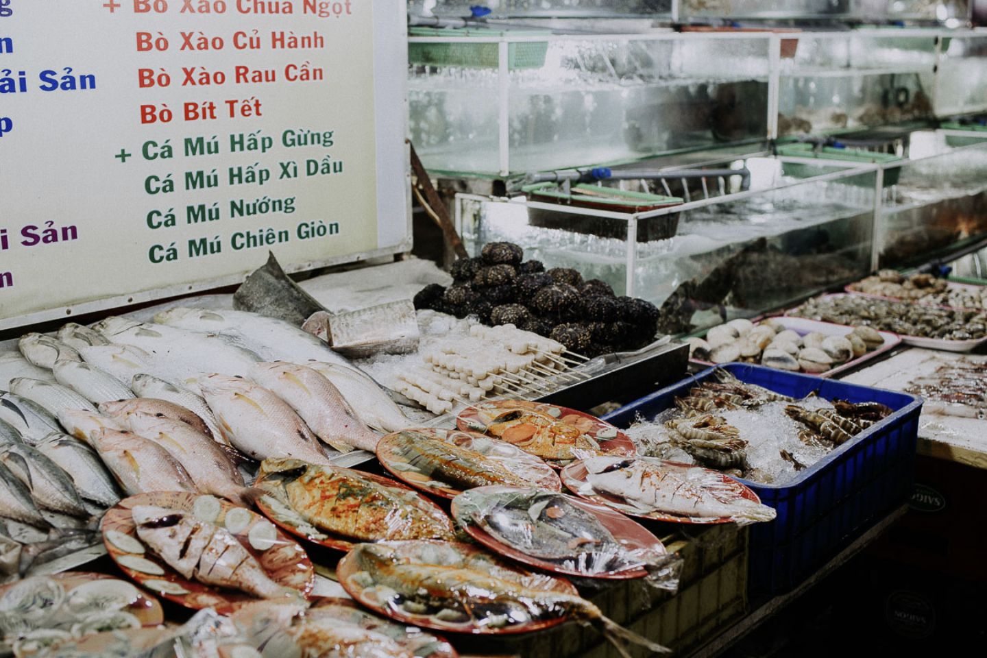 Chợ đêm Phú Quốc (chợ đêm Bạch Đằng) – Thế giới ẩm thực nhộn nhịp khi đêm về 6