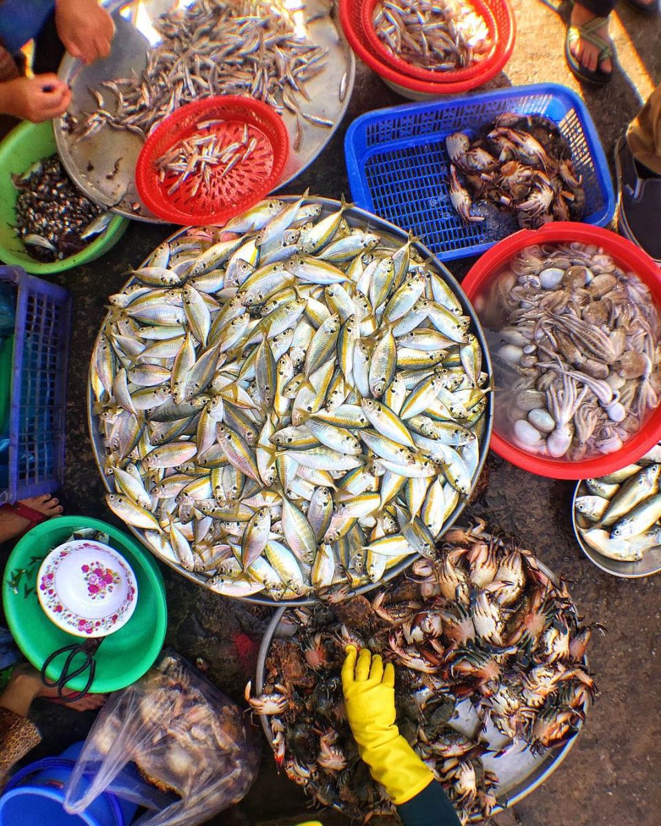 Chợ Dương Đông Phú Quốc – Thiên đường hải sản sầm uất bậc nhất đảo Ngọc 11