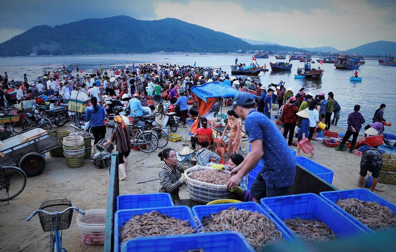 Chợ hải sản Đà Nẵng - Điểm danh các khu chợ bán hải sản tươi ngon giá cực rẻ 2