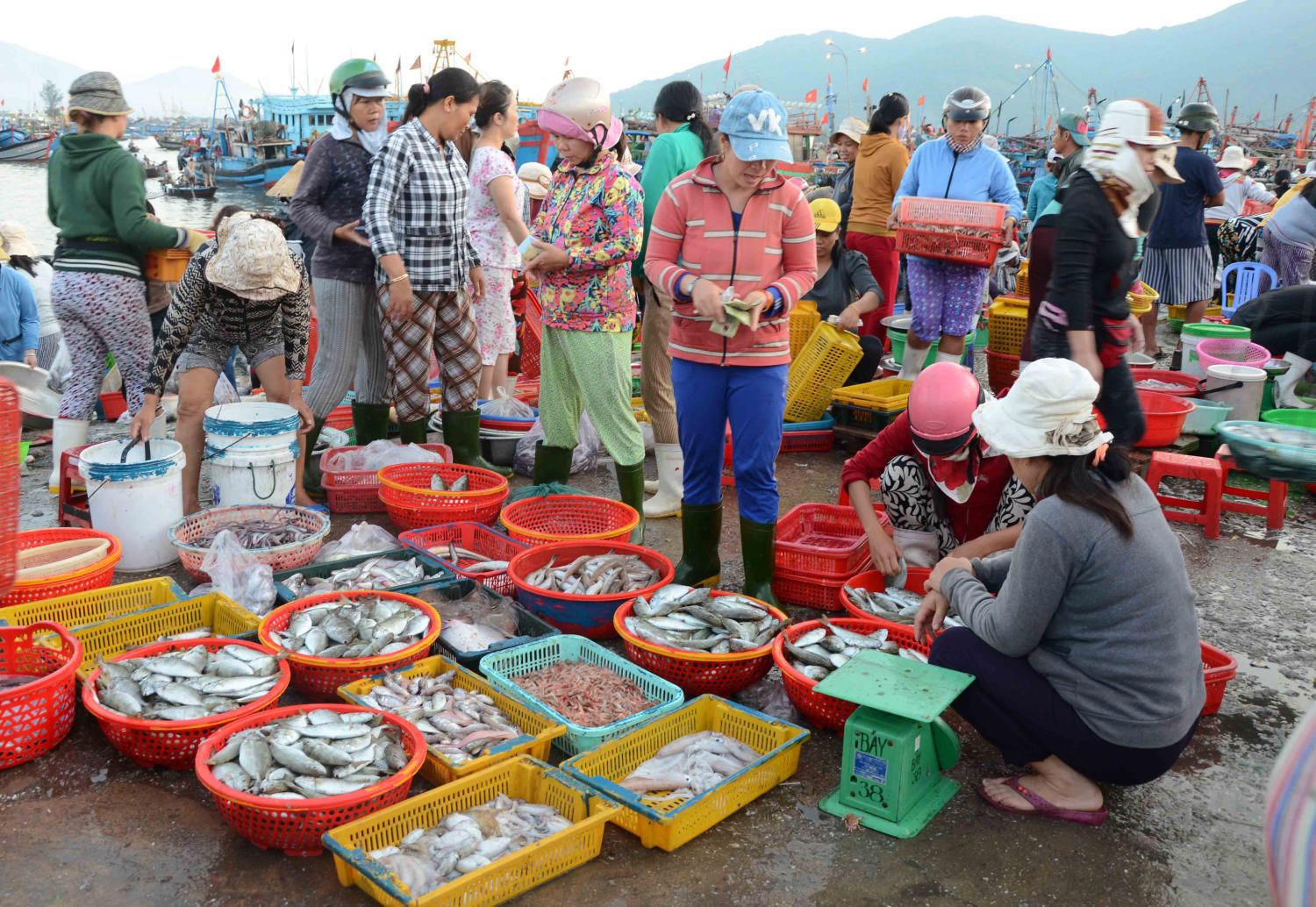 Chợ hải sản Đà Nẵng - Điểm danh các khu chợ bán hải sản tươi ngon giá cực rẻ 6