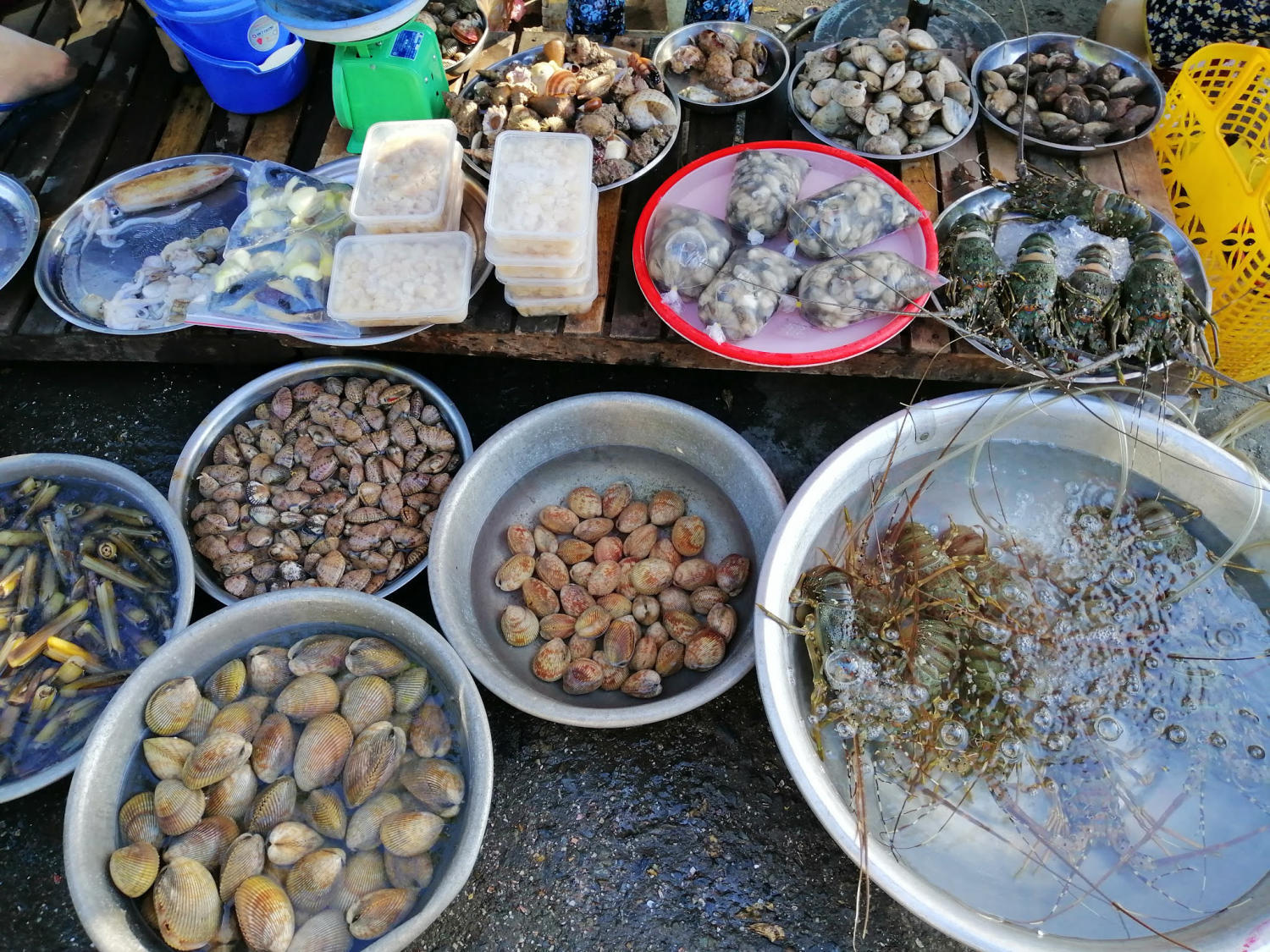 Chợ hải sản Đà Nẵng - Điểm danh các khu chợ bán hải sản tươi ngon giá cực rẻ 8