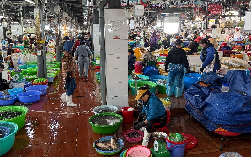 8 địa chỉ chợ hải sản Hạ Long tươi ngon, giá tốt bạn nên ghé 3