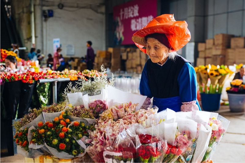 Chợ hoa Đấu Nam, cánh gió cho thị trường hoa Trung Quốc 4